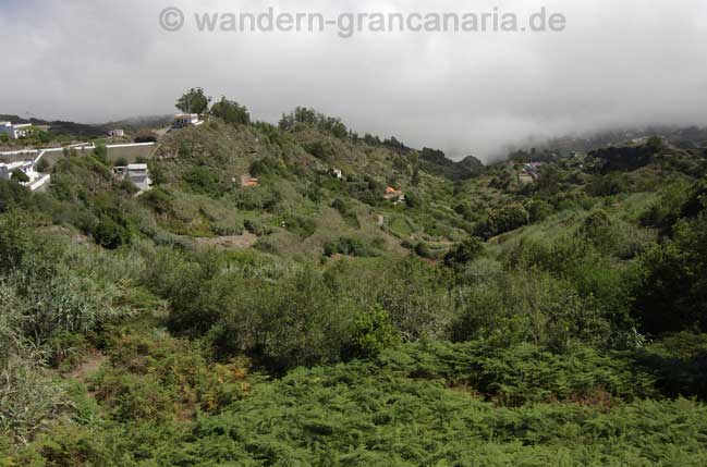 Wandern im grünem Norden von Gran Canaria